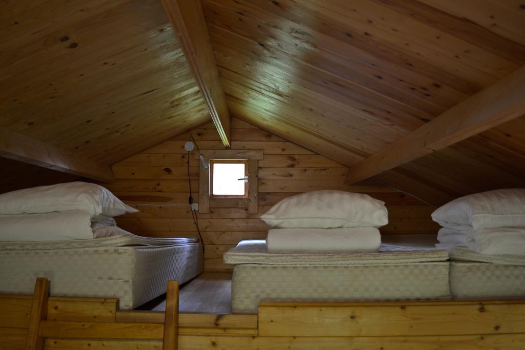 Camping Maennisalu トイラ エクステリア 写真